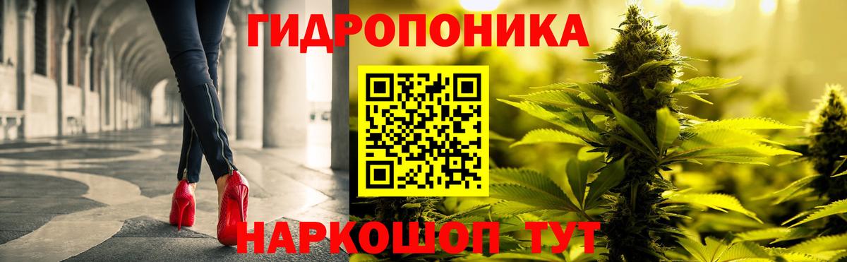 МАРИХУАНА OG Kush Таганрог